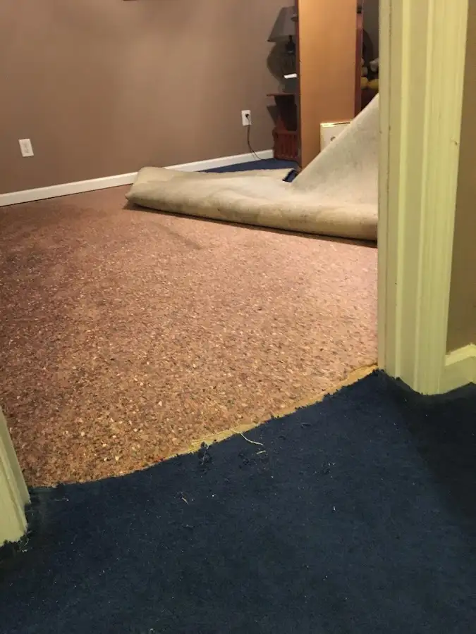 Carpet pad removal revealing water damage during Water Mitigation Services in Lower Saucon