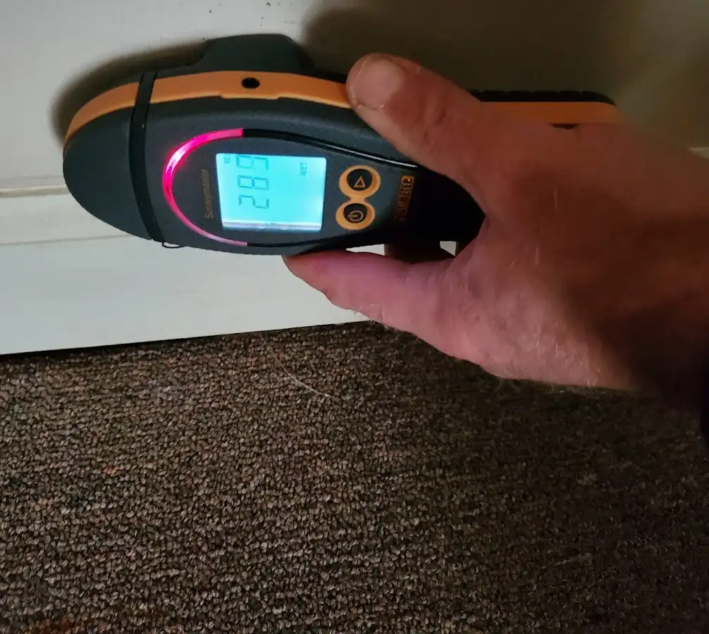 Moisture detection at baseboard during Sewage Cleanup & Sanitation in Lower Saucon